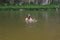 man aged plunged into the water looking or peeping through waterproof camera. Professional photographer job concept. Work in