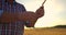 Man agronomist farmer in golden wheat field at sunset. Male looks at the ears of wheat, rear view. Farmers hand touches