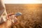 man agronomist uses modern technology in a wheat field. Ripe barley, sunset. The specialist calculates losses from rains