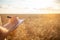 man agronomist in a wheat field. Ripe barley, sunset. The employee calculates losses and profits, evaluates the yield