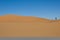 Man alone dune desert sahara