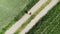 man alone walking by country road in a green field, holding suitcase in a hand, funny travel concept, retro style