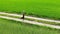 Man alone walking by country road make a stop in a green field for a rest and sit on his suitcase, talking by mobile