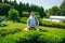 Man with an amputated arm and a prosthesis is trimming bushes in a garden