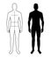 Man anatomy silhouette size. Human body full measure male figure waist, chest chart template