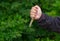 Man arm holding self-made knife