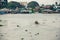 Man in asian conical hat is floating down Mekong river, Vietnam