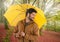 Man in Autumn with umbrella in forest