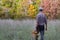 Man back bringing a chestnuts basket