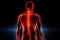 man with back pain, sports injury and fitness, spine x-ray and anatomy with red overlay, medical problem and health AI generated