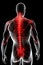 man with back pain, sports injury and fitness, spine x-ray and anatomy with red overlay, medical problem and health AI generated