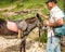 A man with a backpack makes a hike in the mountains with a donkey