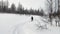 A man with a backpack on tourist skis rolls down a small hill. Ski trip in the forests of Russia.