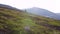 A man with a backpack walks through Alpine meadows high in the mountains at sunset. The tourist enjoys beautiful views of the moun