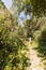 Man backpacker tourist hiking jungle trail, Bolivia.