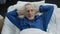 Man basking in bed rejoicing at new orthopedic mattress, comfortable sleep