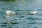 A man bathes in the lake and makes splashes.