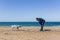 A man on the beach teaches the dog commands, a Labrador runs towards him