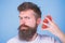 Man beard hipster strawberries fingers blue background. Mostly carbohydrates sucrose fructose glucose. Carbohydrate