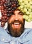 Man with beard holds bunches of black and green grapes