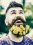 Man with beard and mustache on happy face, green background, defocused. Barber concept. Bearded man with dandelion