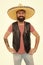 Man bearded cheerful guy wear sombrero mexican hat. Mexican party concept. Celebrate traditional mexican holiday. Lets