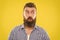 Man bearded hipster wondering face yellow background close up. Guy surprised face expression. Hipster with beard and