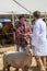 Man being awarded rosette by mature woman for his pedigree sheep at Agricultural show