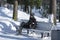 Man on a bench in the park. Cold morning. Man winter. Man on the bench. Winter road. Road with bench. Sunny Winter morning.