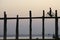 Man with bicycle crossing the U Bein bridge.