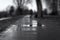 Man on bicycle with dog reflected in puddle on road during rain.