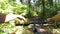 A man on bicycle rides in a pine forest in the summer afternoon in sunny weather