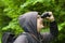 Man with binoculars watching birds in the park