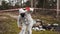 Man in bio-hazard suit and gas masks stands behind the stripe on the territory full of waste