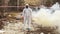 Man in bio-hazard suit and gas walks to the polluted zone covered with smoke