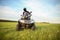 A man in a black helmet rides an ATV