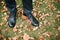 Man in black suit and shoes stands on grass with fallen autumn leaves around. Male feet in black leather shoes close up.