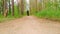 Man in black sweatpants walks along the forest
