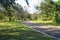 A man in a blue shirt walking his dogs down a long smooth winding footpath in the park