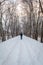 Man in blue walking alone on snow trail under tall tree canopy in winter