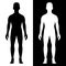 Man body silhouette