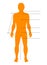Man body silhouette with pointers and indicators for medical, sport and fashion infographics. Vector isolated template