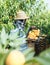 Man with box of peaches