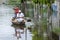 A man and boy in a boat in Indiana in Peru.