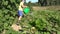 Man boy pour water on garden zucchini vegetable plants with watering can in summer drought. 4K