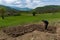 A man is breaking up the soil with a hoe to make it loose for planting vegetables on a sunny spring day in the countryside.