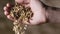 Man brewer holds barley in his hand. craft beer production. slow motion. close-up