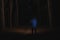 Man with bright flashlight in forest