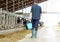 Man with bucket walking in cowshed on dairy farm