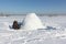 Man building an igloo of snow blocks on a glade